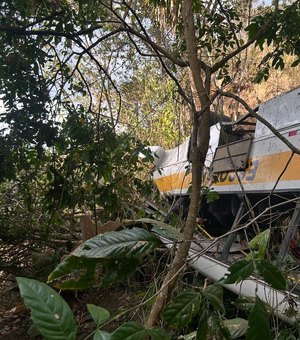 Sobrevivente deixa ônibus segundos antes do veículo cair em ribanceira e relata momento