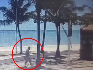 Videomonitoramento registra instante em que vândalo põe fogo na escultura ‘Boi-Bumbá’ no Jaraguá