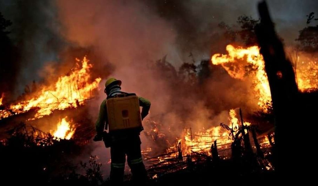 Amazônia: agricultores causam maioria das queimadas, e não índios