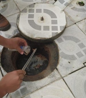 Picada de escorpião: saiba como evitar acidentes e como agir em caso de picada
