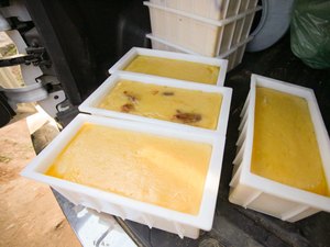 [Vídeo] Fábrica de queijo funcionava ao lado de pocilgas em Batalha, segundo FPI