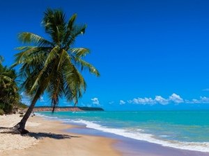 Sedetur apresenta Alagoas para agentes de viagens em quatro cidades de Portugal