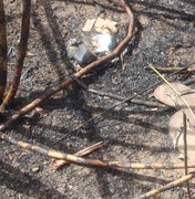 Polícia Científica encontra vestígios que podem ajudar na identificação de ossada achada em Coruripe