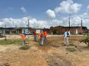 Conjunto Santa Maria recebe projeto de arborização com mudas frutíferas e nativas