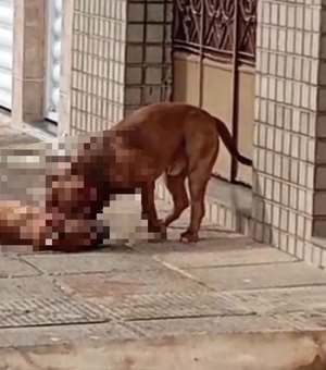 Cão de rua é morto após ataque de pitbulls no bairro da Ponta Grossa, em Maceió