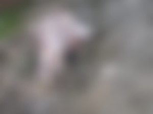 Homem é encontrado morto em Matriz de Camaragibe
