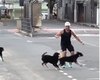 [Vídeo] Cachorros impedem corredor de finalizar percurso e momento viraliza