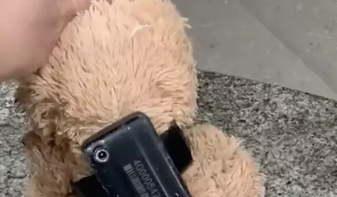 Homem encontra urso de pelúcia com tornozeleira eletrônica no Ceará