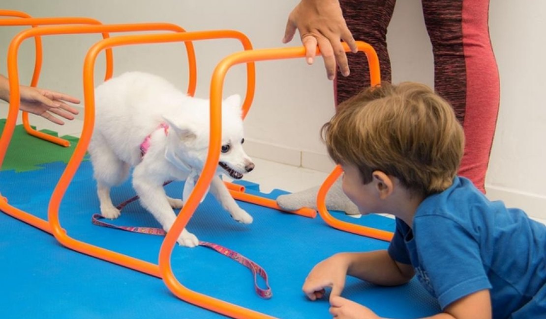 Terapia assistida: projeto utiliza cães no tratamento em crianças autistas