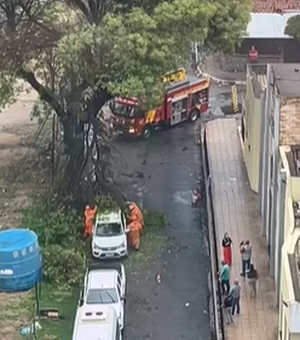 [Vídeo] Árvore desaba sobre carro estacionado no bairro da Jatiúca, em Maceió