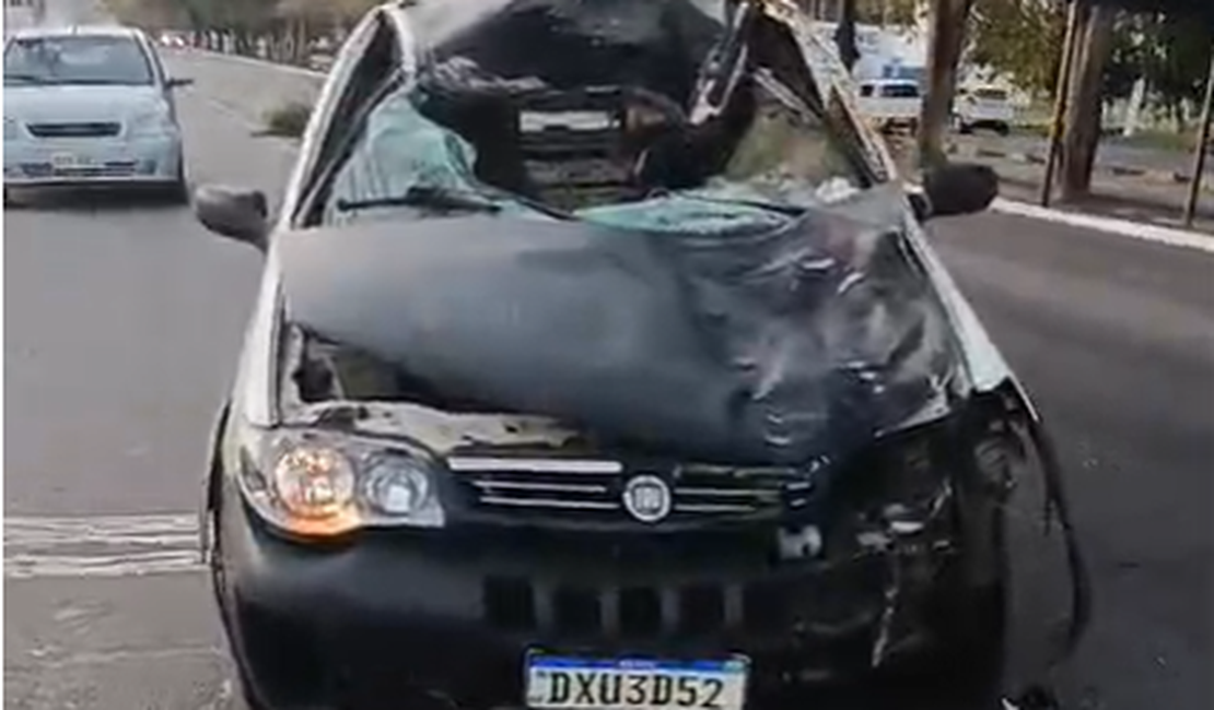 Homem fica gravemente ferido após acidente envolvendo cavalo na Cidade Universitária