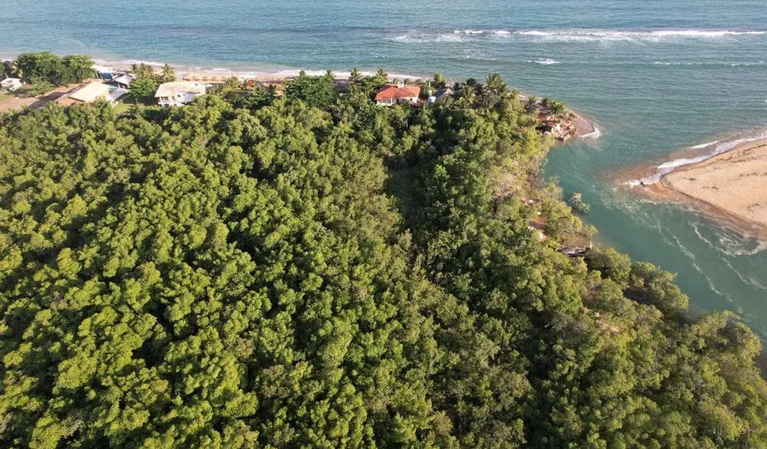 Área de manguezal na Praia de Pratagy será monitorado