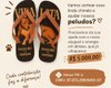 Abrigo de animais de Arapiraca pede ajuda para quitar dívida de R$ 5 mil