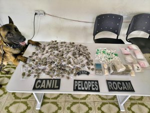 Polícia Militar apreende 38 armas de fogo e mais de 665 Kg de drogas na última semana em Alagoas