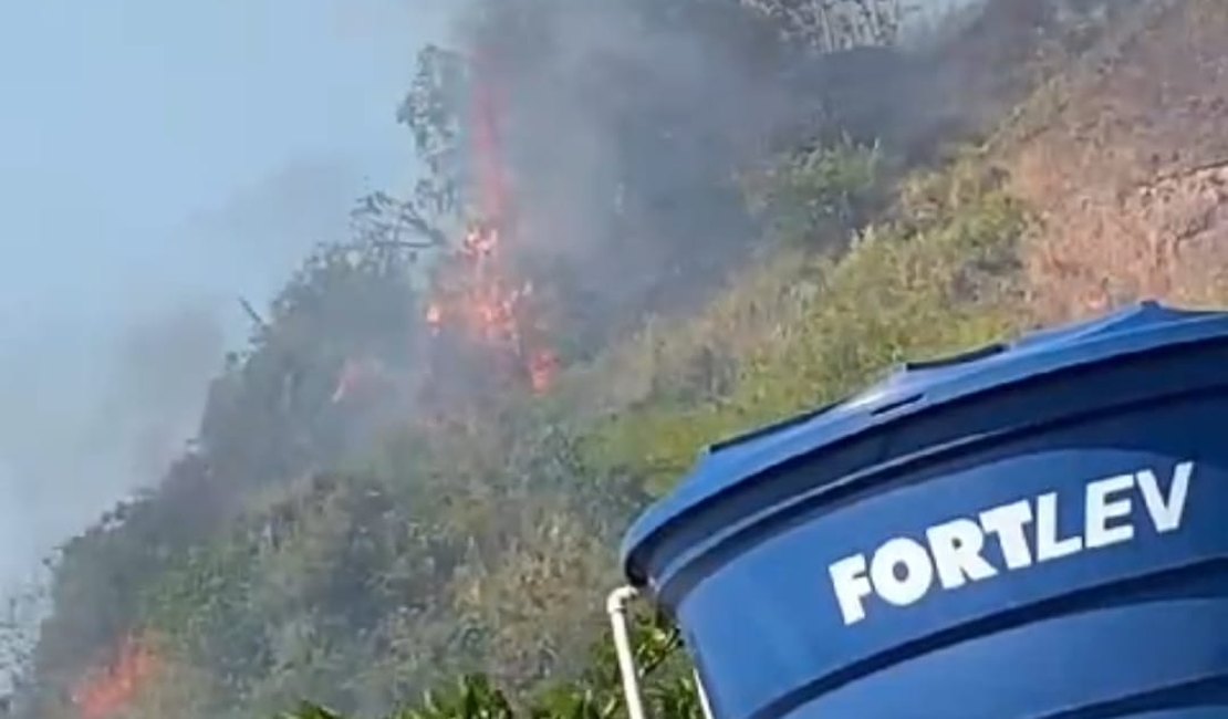 [Vídeo] Fogo em vegetação no bairro Cruz das Almas assusta moradores da região