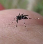 Europa tem primeiro caso de dengue por transmissão sexual