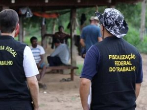 Alagoas registra 17 resgates de trabalhadores em situação análoga à escravidão em 2024