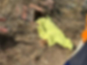 Acidente com ônibus que transportava romeiros deixa pelo menos 15 mortos no Sertão de AL