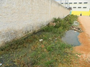 Moradores denunciam poças de água com larvas do Aedes