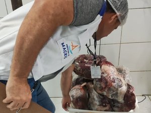 Vigilância Sanitária apreende 80 kg de carnes estragadas em frigorífico