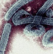 Doença 'prima' do Ebola faz vítima na Guiné e preocupa a OMS