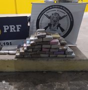 Policiais apreendem 39kg de drogas em caminhão-cegonha, na BR-101, em São Sebastião
