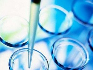 AL mira em cooperação científica internacional para atrair investidores coreanos