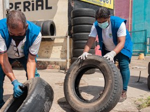 Casos de dengue em Maceió crescem 219,33% em relação a 2023