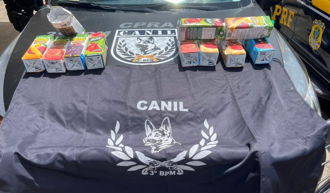 Mulher é presa com dez quilos de cocaína em bagagem no município de São Sebastião