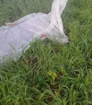 Identificada mulher encontrada morta na zona rural de Feira Grande 
