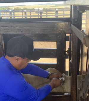 Alagoas atinge cobertura vacinal exigida pelo Mapa