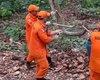 Cobra é capturada no Bosque das Arapiracas; tamanho impressiona moradores