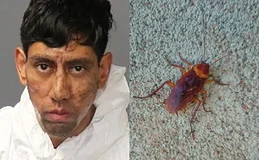 Homem surpreende polícia e diz que barata o convenceu a cometer crime