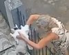[Vídeo] Mulher arremessa gato pelo portão de casa no Vergel e vira procurada por abanado animal