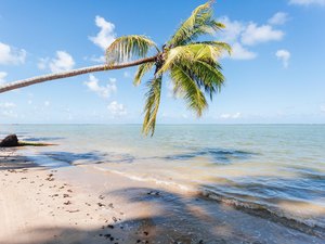 Litoral Norte é finalista em duas categorias do prêmio 'O Melhor do Turismo Brasileiro'
