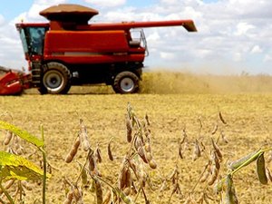 Alagoas estima queda na safra de cana-de-açúcar em 2020