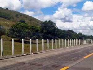 Corpo de um homem é encontrado em buraco na zona rural de Palmeira dos Índios