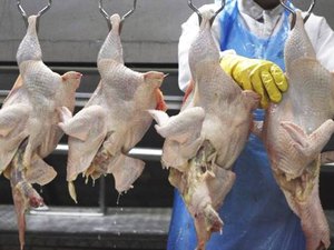 Polícia Federal deflagra nova fase da Operação Carne Fraca