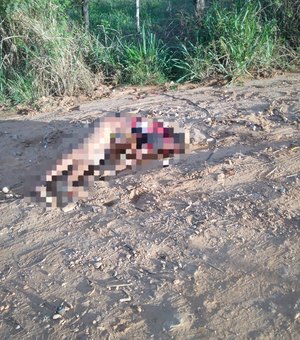 Homem é assassinado e tem corpo desovado no povoado Candará, em Palmeira dos Índios