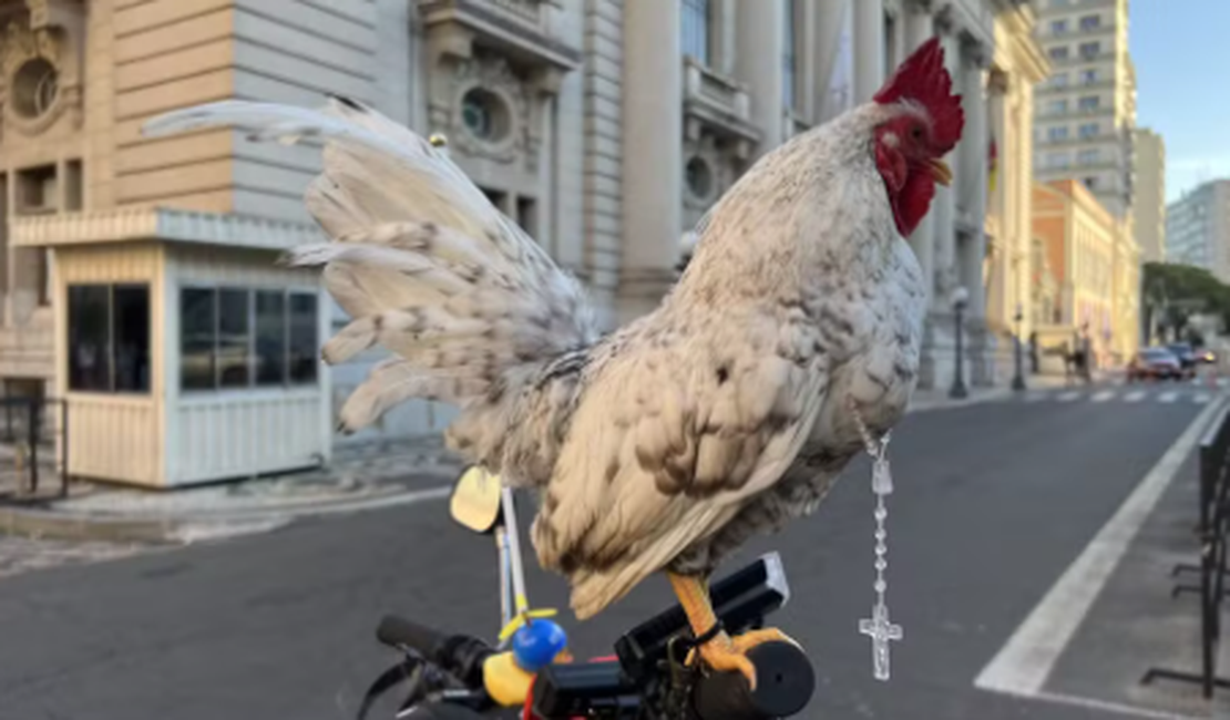 Galo garnisé participa de procissão de Corpus Christi com terço no pescoço em cima de bicicleta