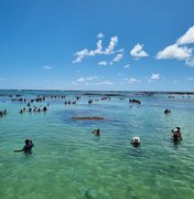 Turistas se mostram satisfeitos com ordenamento em visitas às piscinas naturais