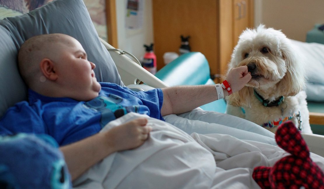 O cachorro que ajuda crianças com medo de agulha a se vacinarem