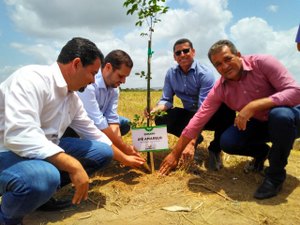 Limoeiro de Anadia ganhará maior complexo de pesquisa agroflorestal sintrópica da região