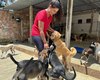 Maceió se destaca com lei que proíbe testes em animais para cosméticos e higiene pessoal