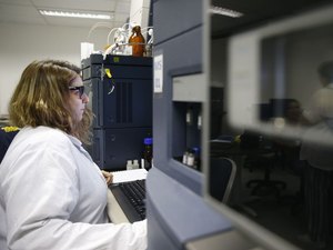 Mulheres são maioria entre entre trabalhadores com ensino superior