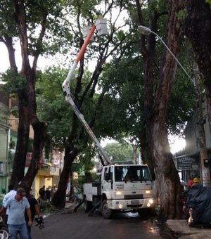Equipes fazem supressão de árvores em Maceió