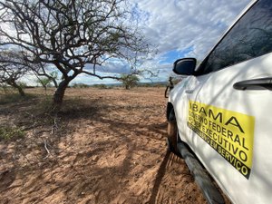FPI constata desmatamento ilegal do bioma caatinga em Mata Grande