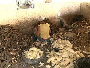 Crianças que trabalhavam em casa de farinha no Agreste deverão ser protegidas pelo município