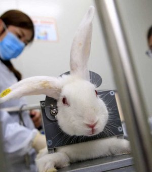 Avon anuncia fim dos testes em animais em empresas da marca no mundo