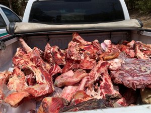 Vigilância apreende mais de uma tonelada de alimentos impróprios para consumo na capital